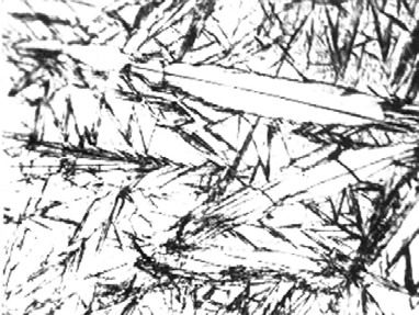 1600221644136277.jpeg 640-1.jpeg